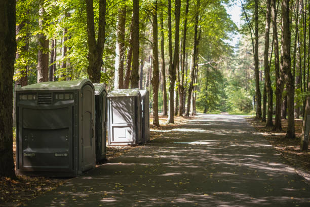 Best Root Management and Removal  in Dundas, MN